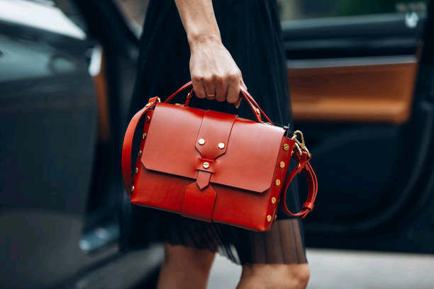 Levels Luxury Leather bag